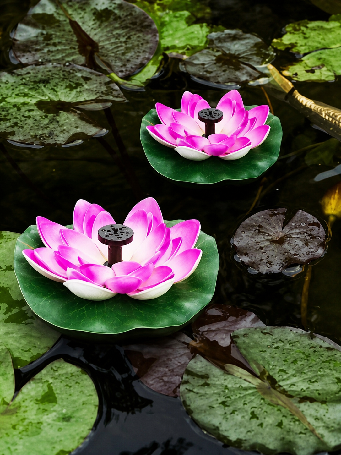 Фото 3