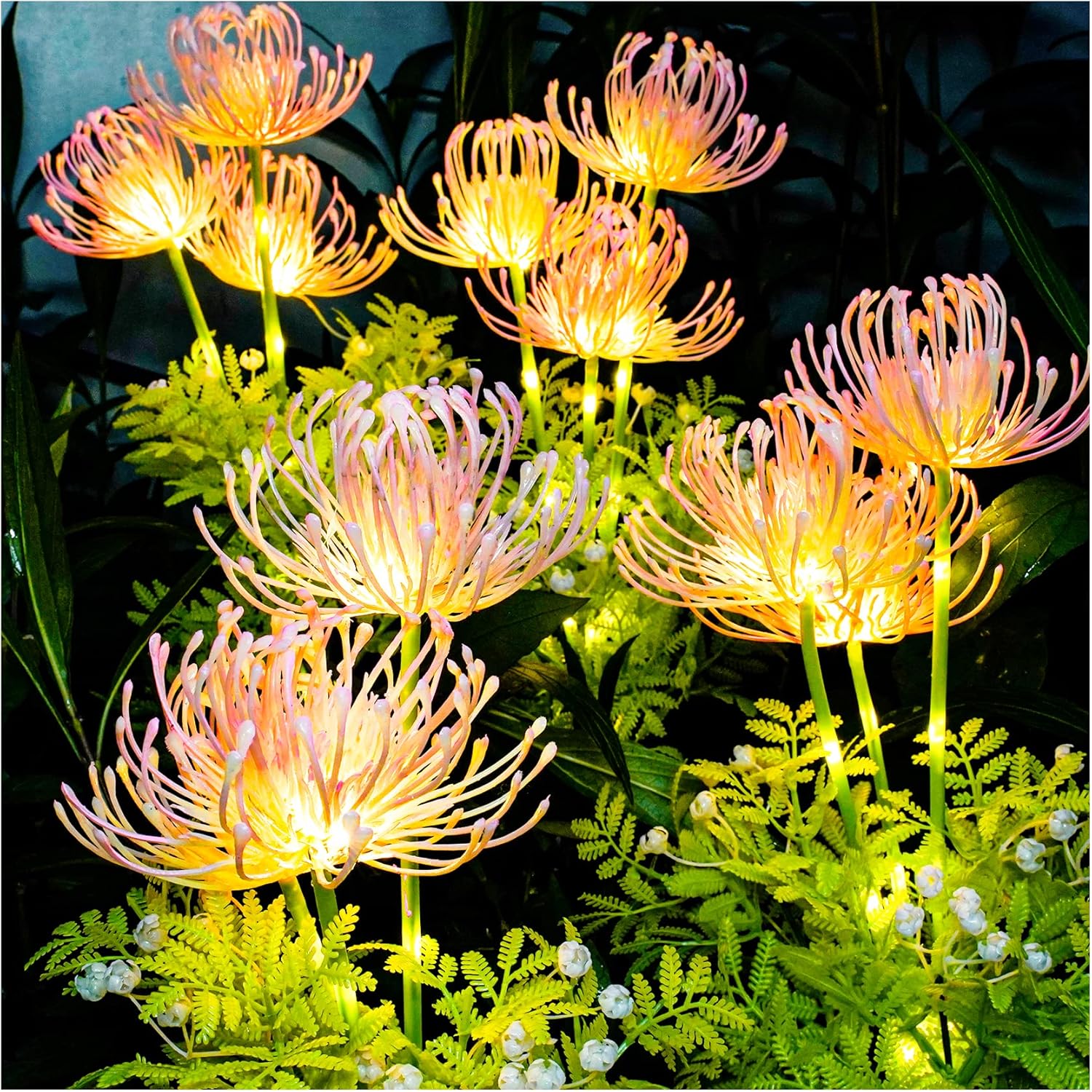 Фото 2