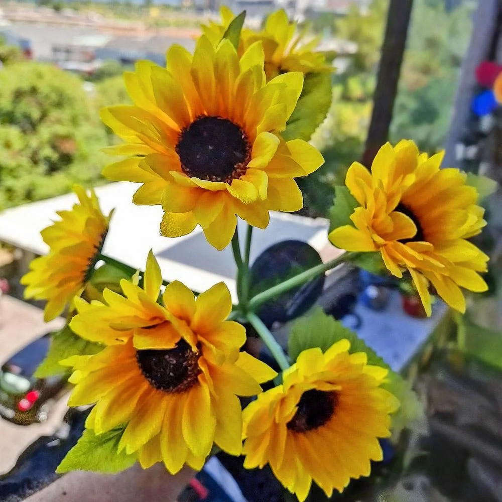 Фото 4