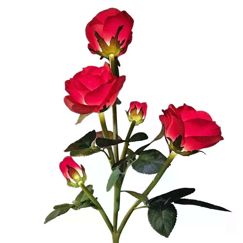 Фото 2