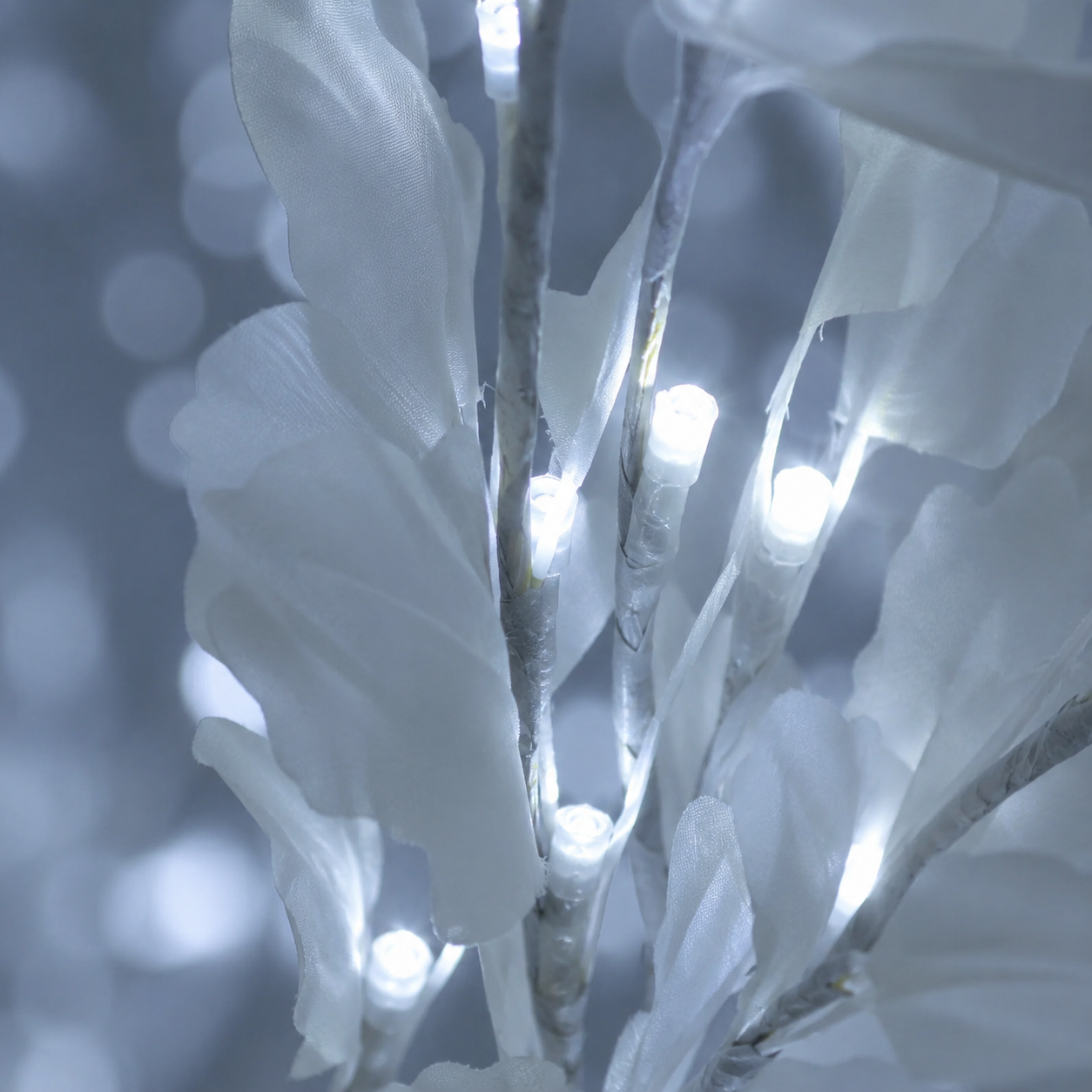 Фото 4