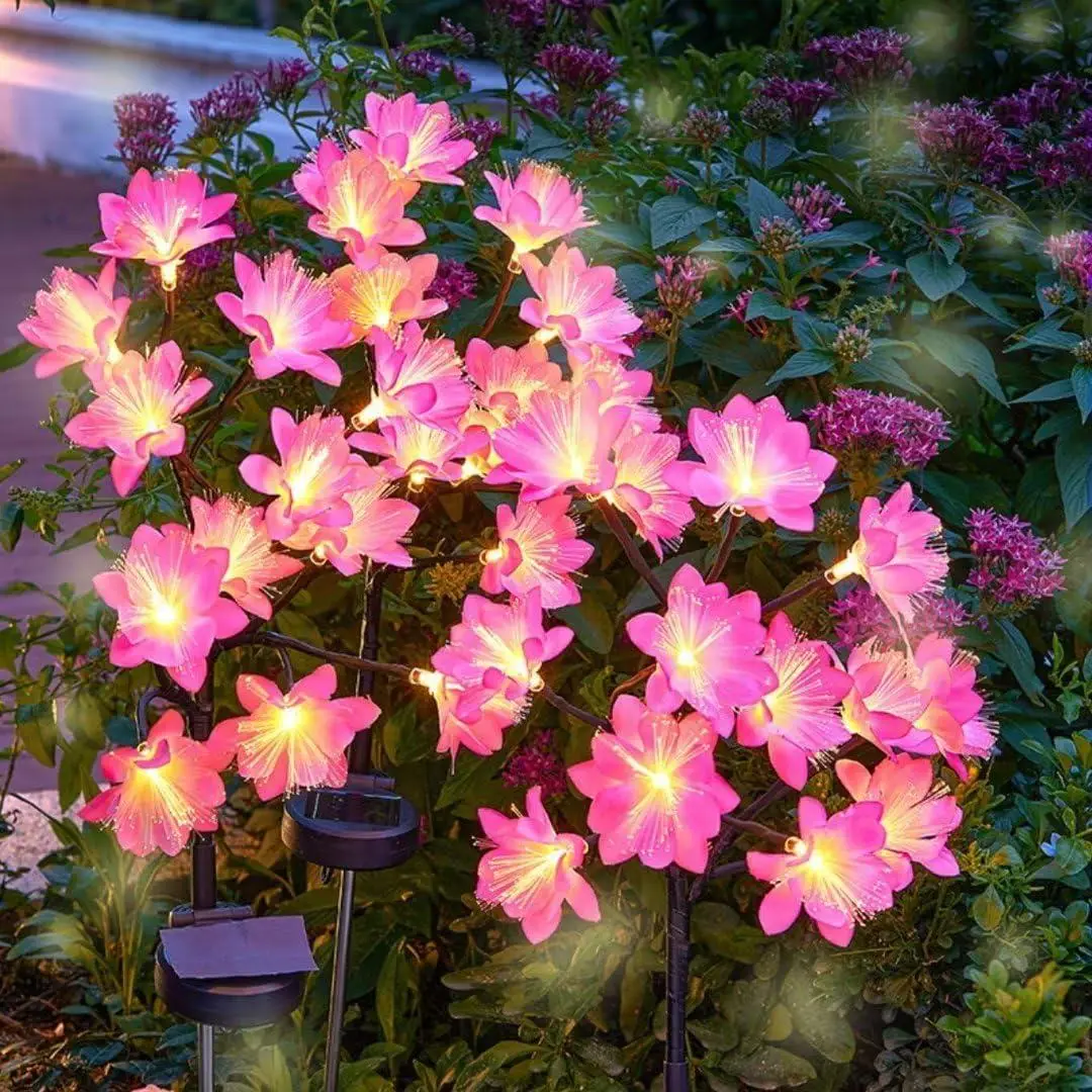 Фото 6