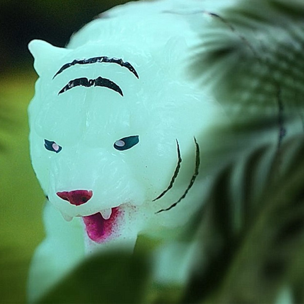Фото 4
