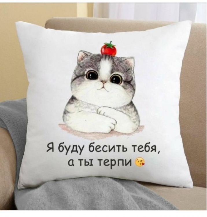 Подушка Я буду дратувати тебе, а ти терпи 35x35 см
